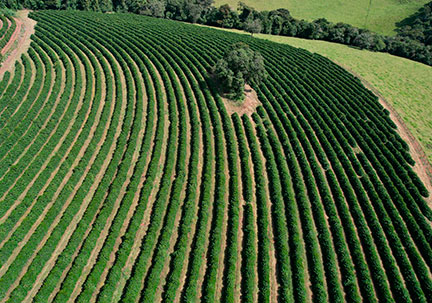 Agricultura de Precisão